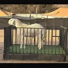 مشروع حري فاخر ( تم البيع )