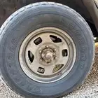 جنوط جيب للبيع