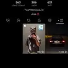 شبه ثنائي تيك مرتب على السطر