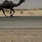 مجاهيم