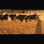 عرض نجد فأواخر