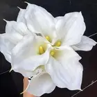 ورد كالا صناعي شبة طبيعي سيليكون