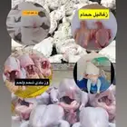فروج لاحم ذبح