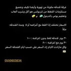 طريف فندقه قطط