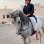 فرس شعبيه شيخه وكانت مع ابل من كان عمره سنه