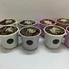 سطل بخور جيزاني