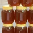 عسل سدر مضمون