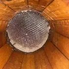 عسل طلح حايل