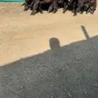 جفرات عوارض خصم الخصم تممم البيع