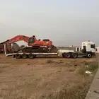 لوبد متواجد في جازان