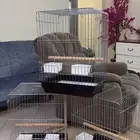 قفص