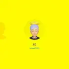 يوزر سناب شبه ثنائي