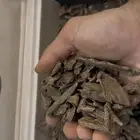 نوادر العود مالينو اندر وتر
