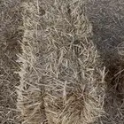 تبن البيع كوم