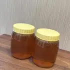 عسل سدر