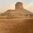 ايواء خيل