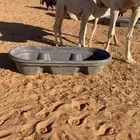 البيع قعود لباني بري شرط