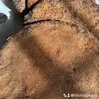 بخور حساوي