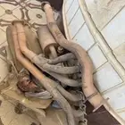 هدرز جيب سويدي مفيه اللحم طيب بالحيل