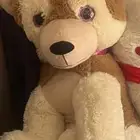 دبب