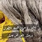 شوار سمان