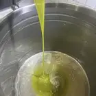 زيت زيتون