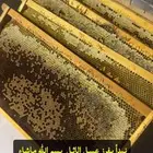 عسل اثل صافي