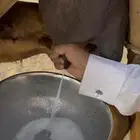 خلفة السن ثنيه