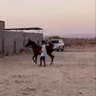 مهره العمر سنه ونص شعبيه