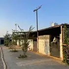 مربط ايواء وعسف الخيل