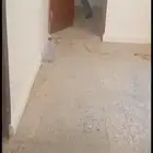 شقة للاجار في المبرز