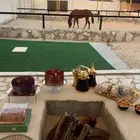 تخييم شتوي داخل المربط