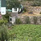 الشفا وادي لي غزال دور أرضي وزرعه