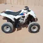 السلام عليكم ورحمة الله وبركاته اعرض لكم دباب زد 250