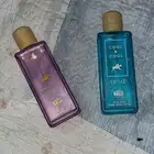 عطر عساف