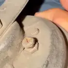 بوري لكزس ختم اصفر وزنة بلد