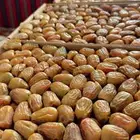 تمر سكري مفتل خراف جديد وسعر مناسب للجميع