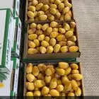 خلاص مناصيف