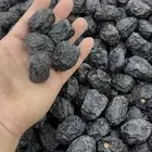 عجوة المدينة فاخره وعضوي