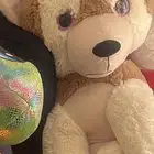 دبب العاب