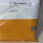 للبيع بذر بصل شركة كناهل