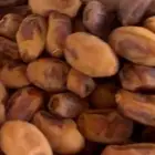 تمر خلاص