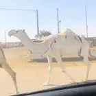 ضريبه. تم البيع