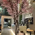 شجرة صناعية أغصان طبيعيه طول 5 متر