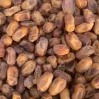 تمر خلاص طيب انتاج 1447