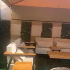 جلسه خارجيه   الخبر