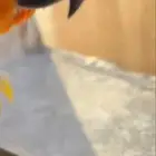 فرخ صن كنيور