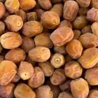 رطب تمر روثانة نجد
