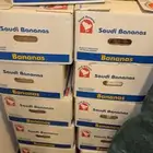 صرام اخلاص طييب ونضيف