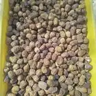 يوجد لدي تمر سكري و شقرا و روثانه ينفع للكنز وغيره